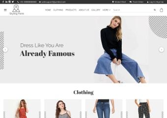 Best FREE Ladies Western Clothing Website Templates