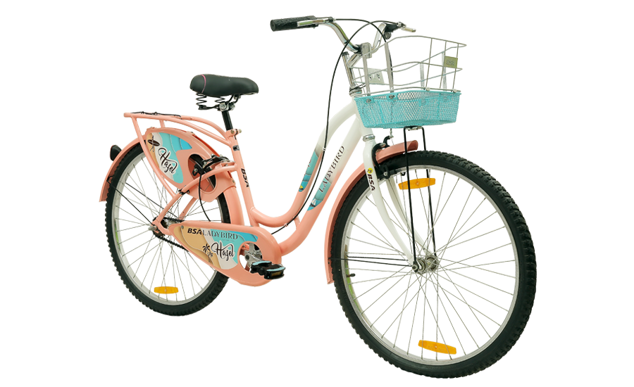 Bsa ladybird hazel cycle hot sale