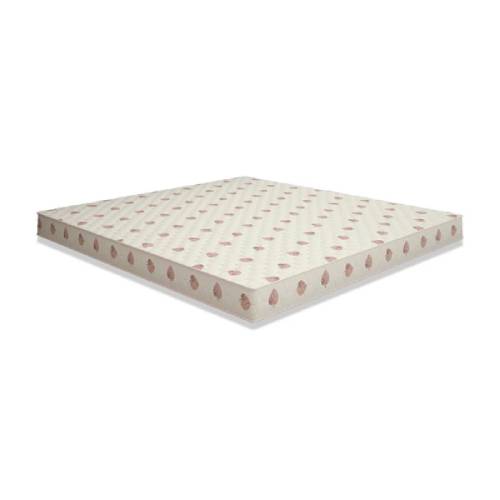 Sleepwell 2024 mattress dignity