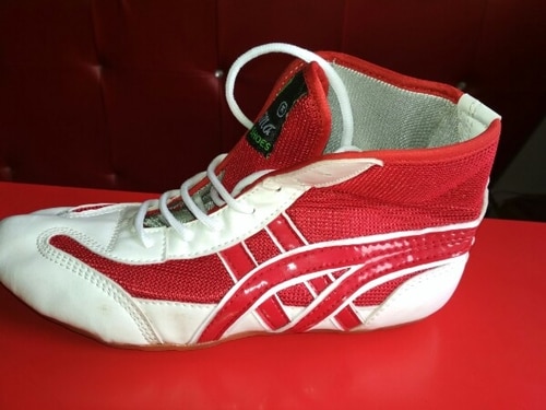 Wrestling Shoes in Ct-10911713 