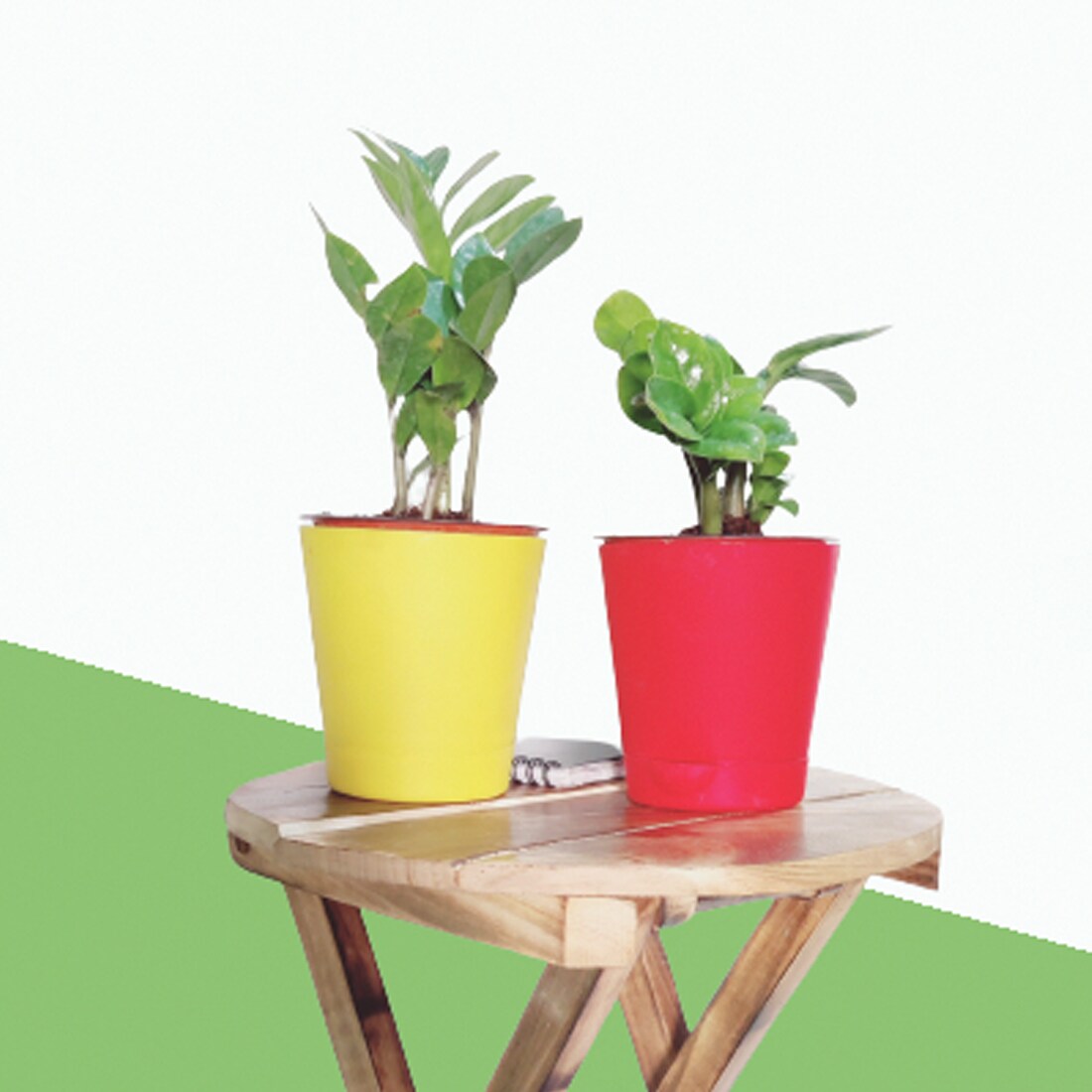 Air Purifier Indoor Plants For Home With Self Watering