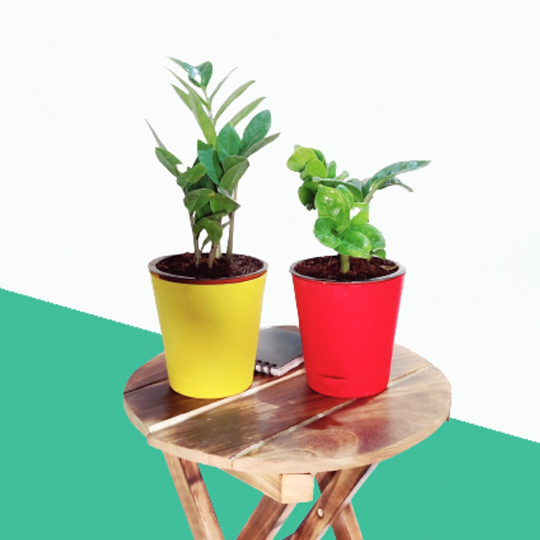 Air Purifier Indoor Plants For Home With Self Watering