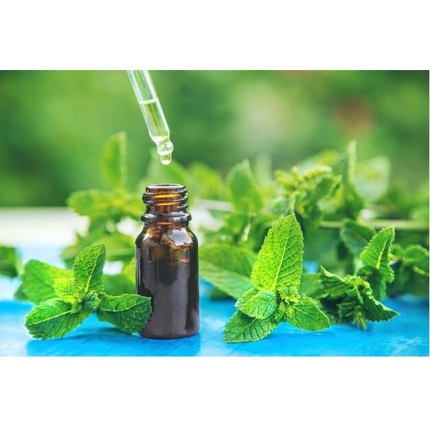 peppermint fragrance Oil ( 250ml ) - Scented Oil - Leela Organic