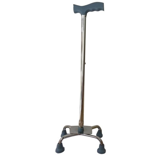 Pioneer best sale walking stick