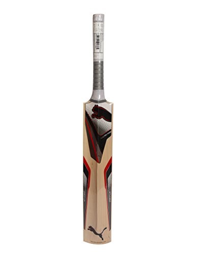 Puma platinum cricket bat Clearance