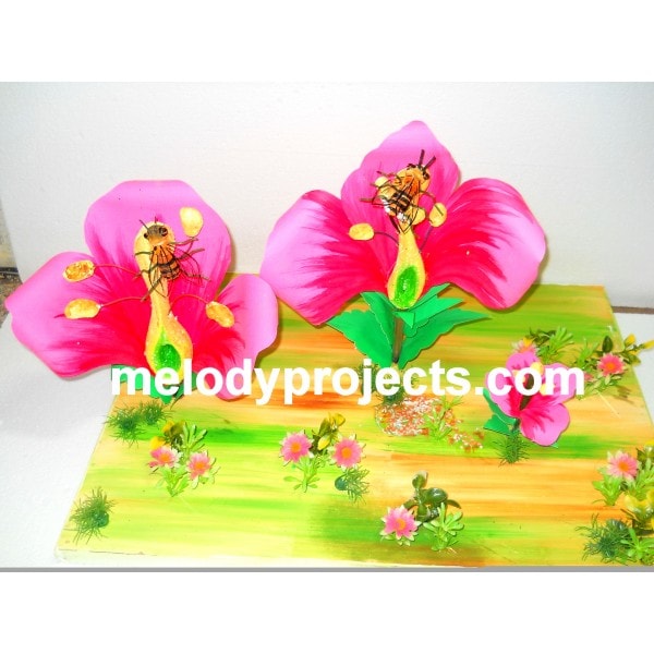 Bp 36 Fertilization Of Flowers Biology Project Model Biology Models Melodys Hobby Centre Janakpuri District Centre Delhi